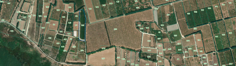 Image 4 New-PNG